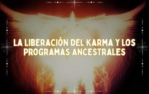 Portada Cursos (12)