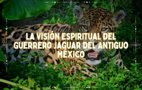 Portada Cursos (19)