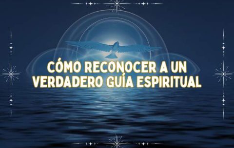 Portada Cursos (25)