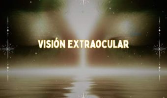 Portada Cursos (31)