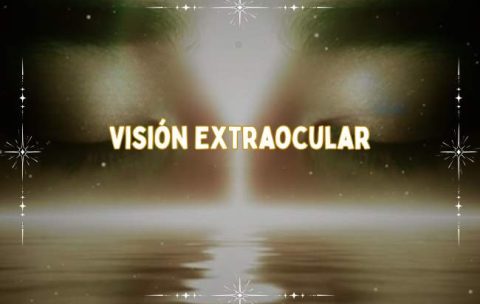 Portada Cursos (31)