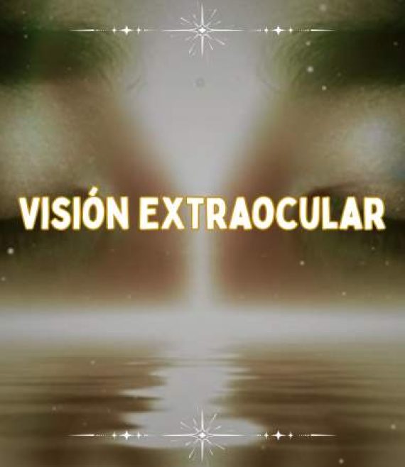Portada Cursos (31)